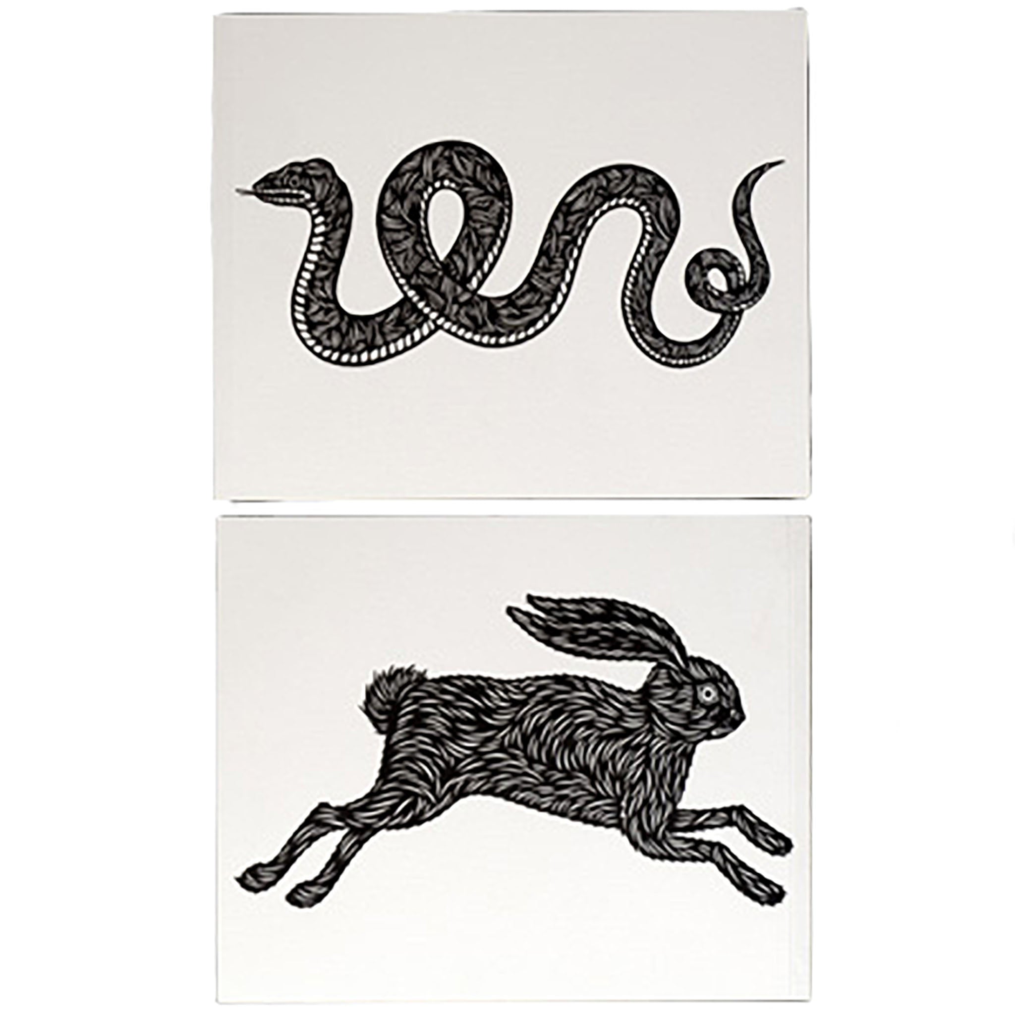 Patch Snake and Rabbit ノートブック