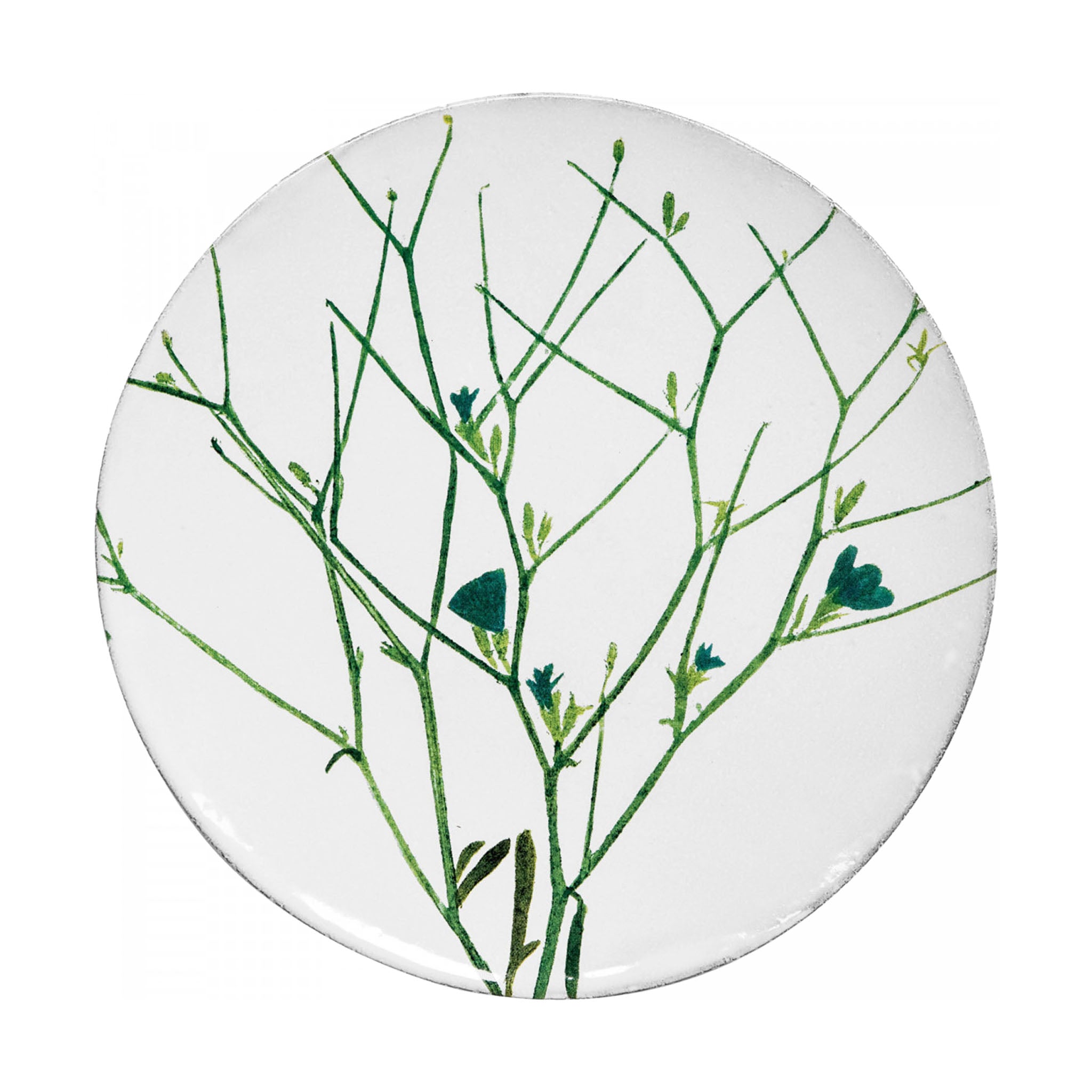 John Derian Cichorium ミディアムプレート 24cm