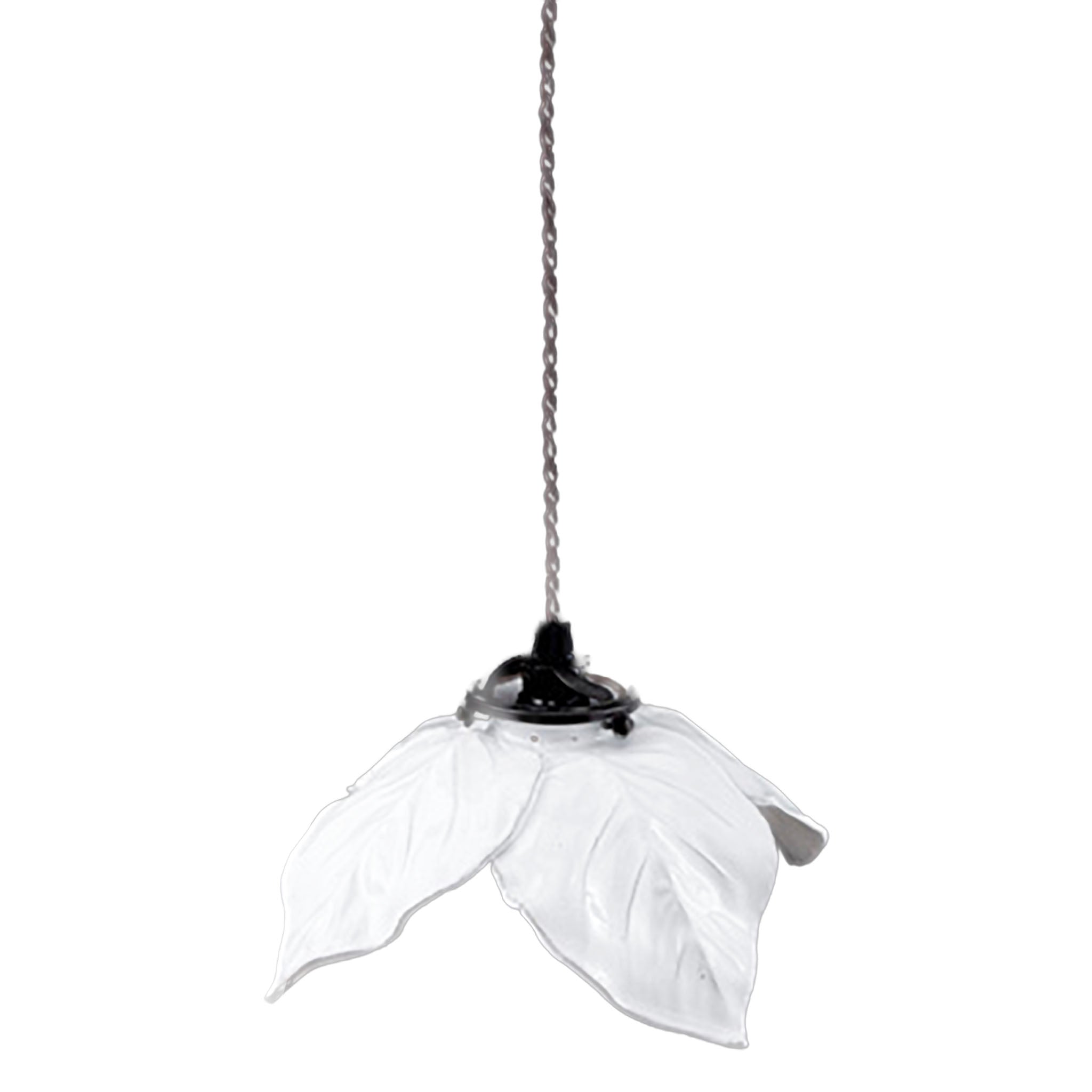 José Levy ペンダントライト