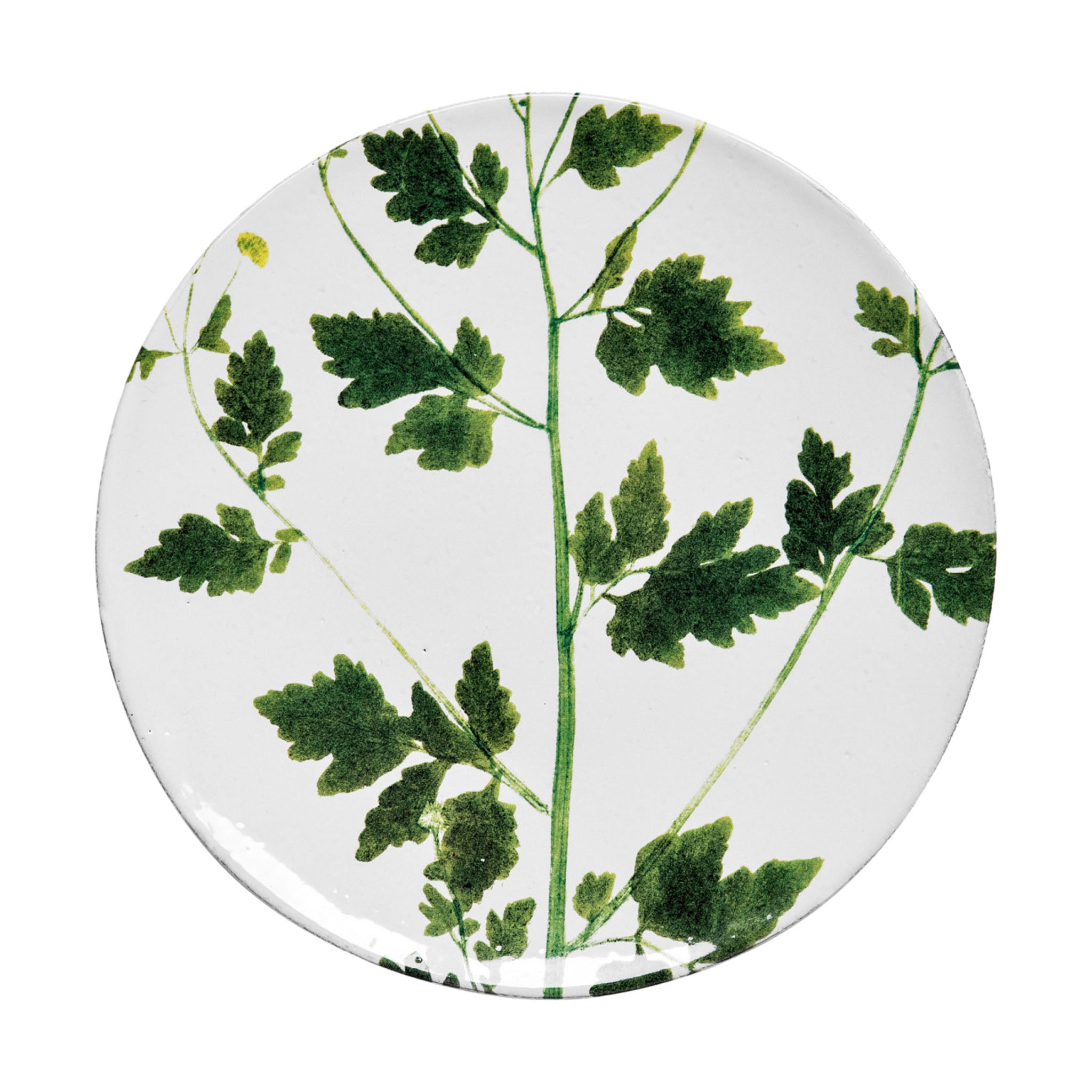 John Derian Matricaria ミディアムプレート 24cm