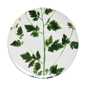 John Derian Matricaria ミディアムプレート 24cm