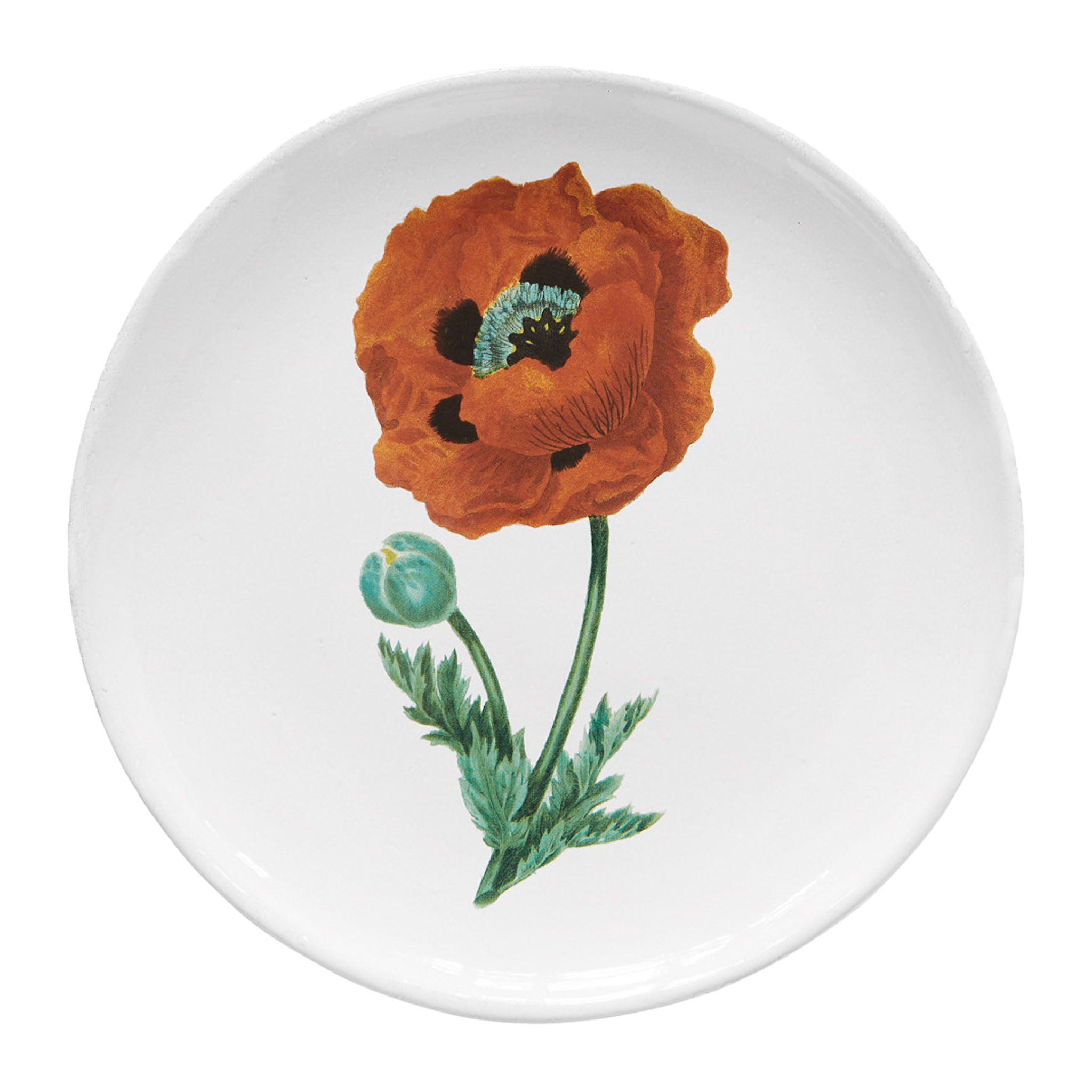 John Derian Orange Flower ディナープレート 26cm