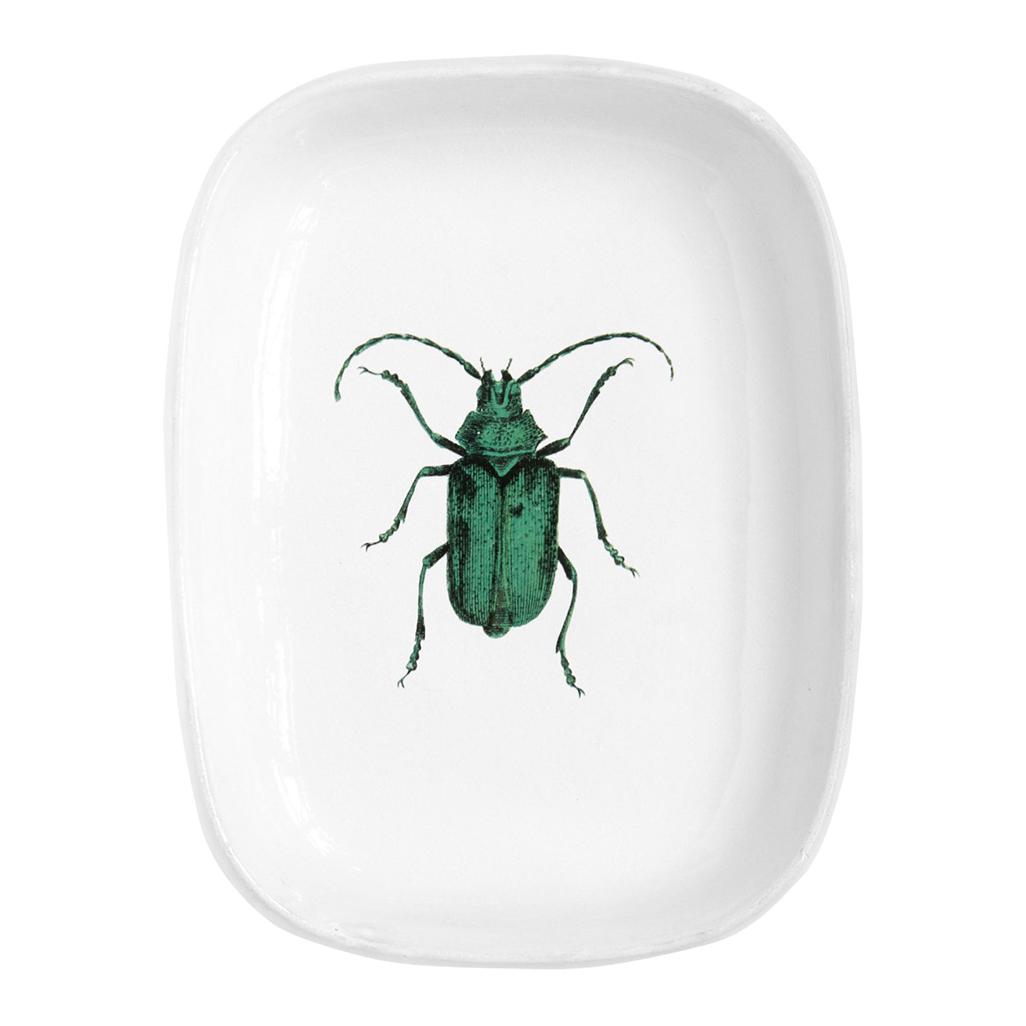 John Derian Green Insect プラッター 33.5cm