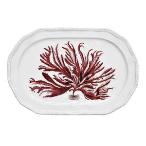 John Derian Red Seaweed プラッター 44cm