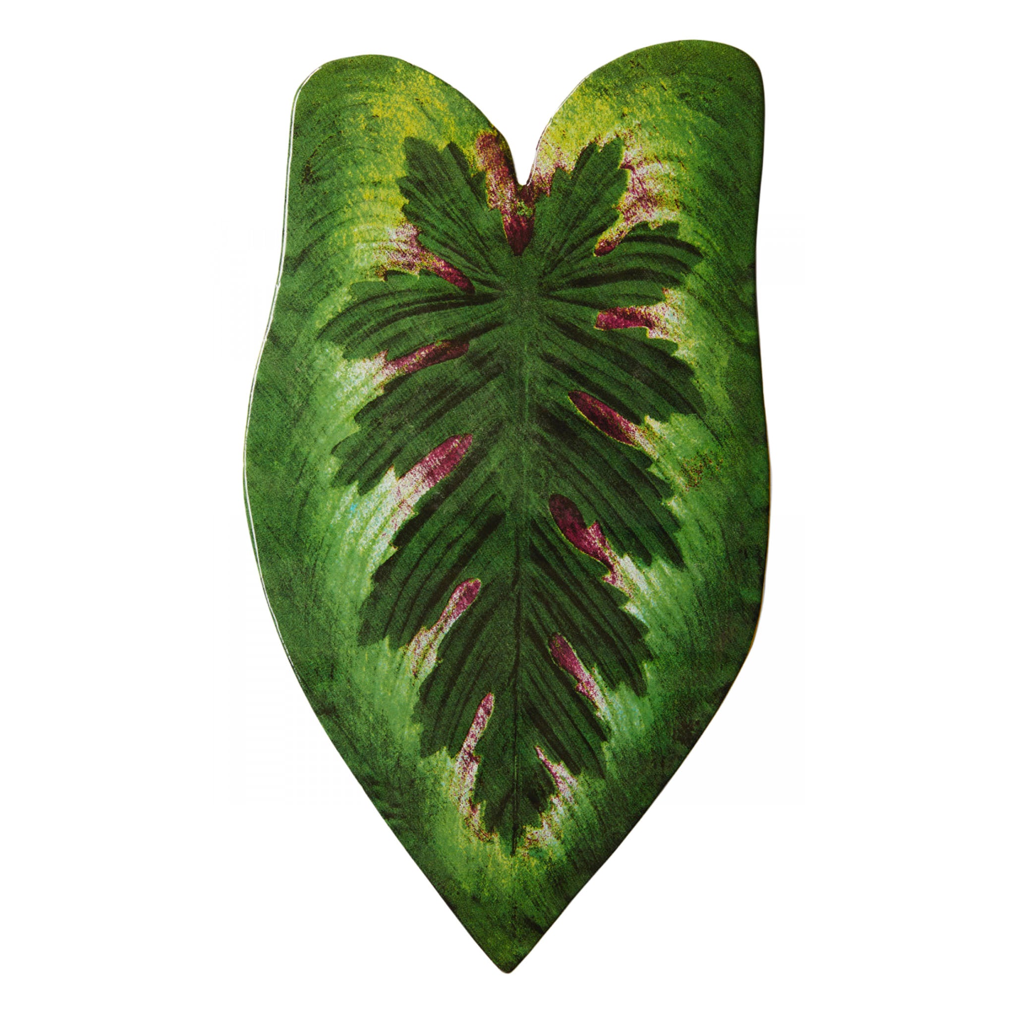 John Derian Leaf 7 プラッター 30cm