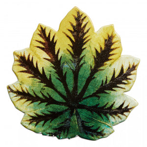 John Derian Leaf プラッター 17cm