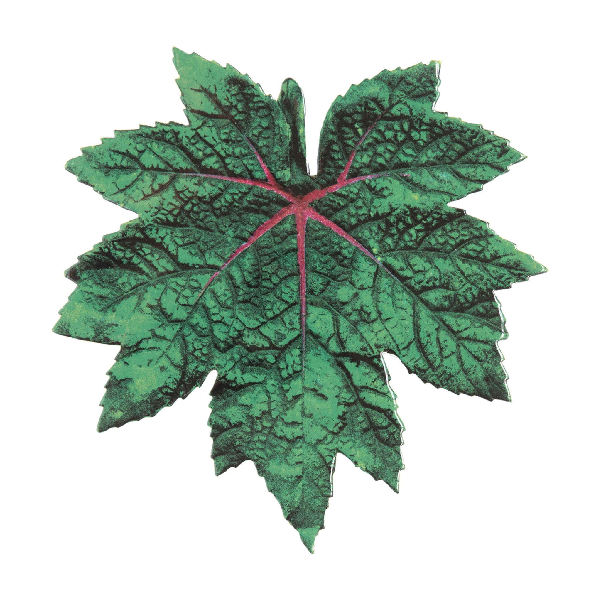 John Derian Leaf 62 プラッター 24cm