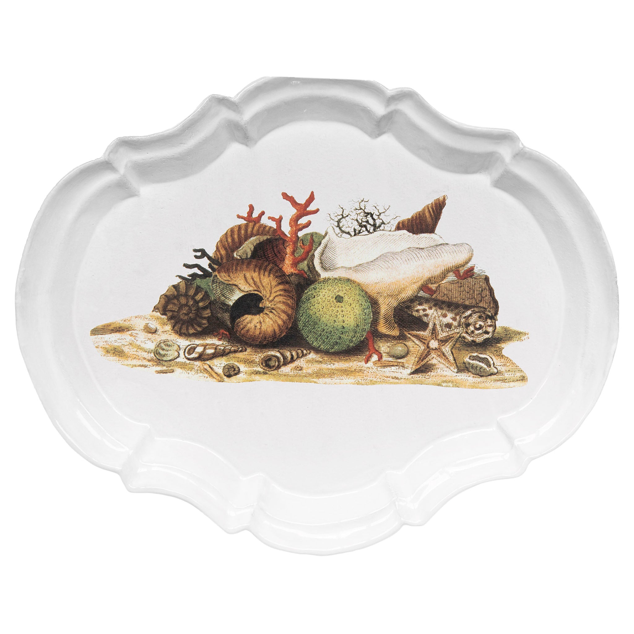 John Derian Shells 1754 プラッター 32cm