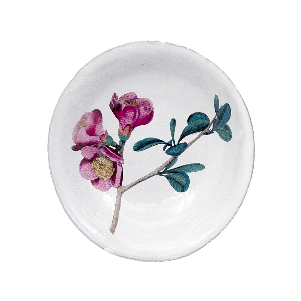 Small Dishes – タグ 