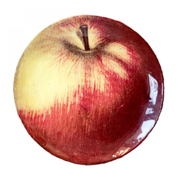 John Derian Apple ソーサー