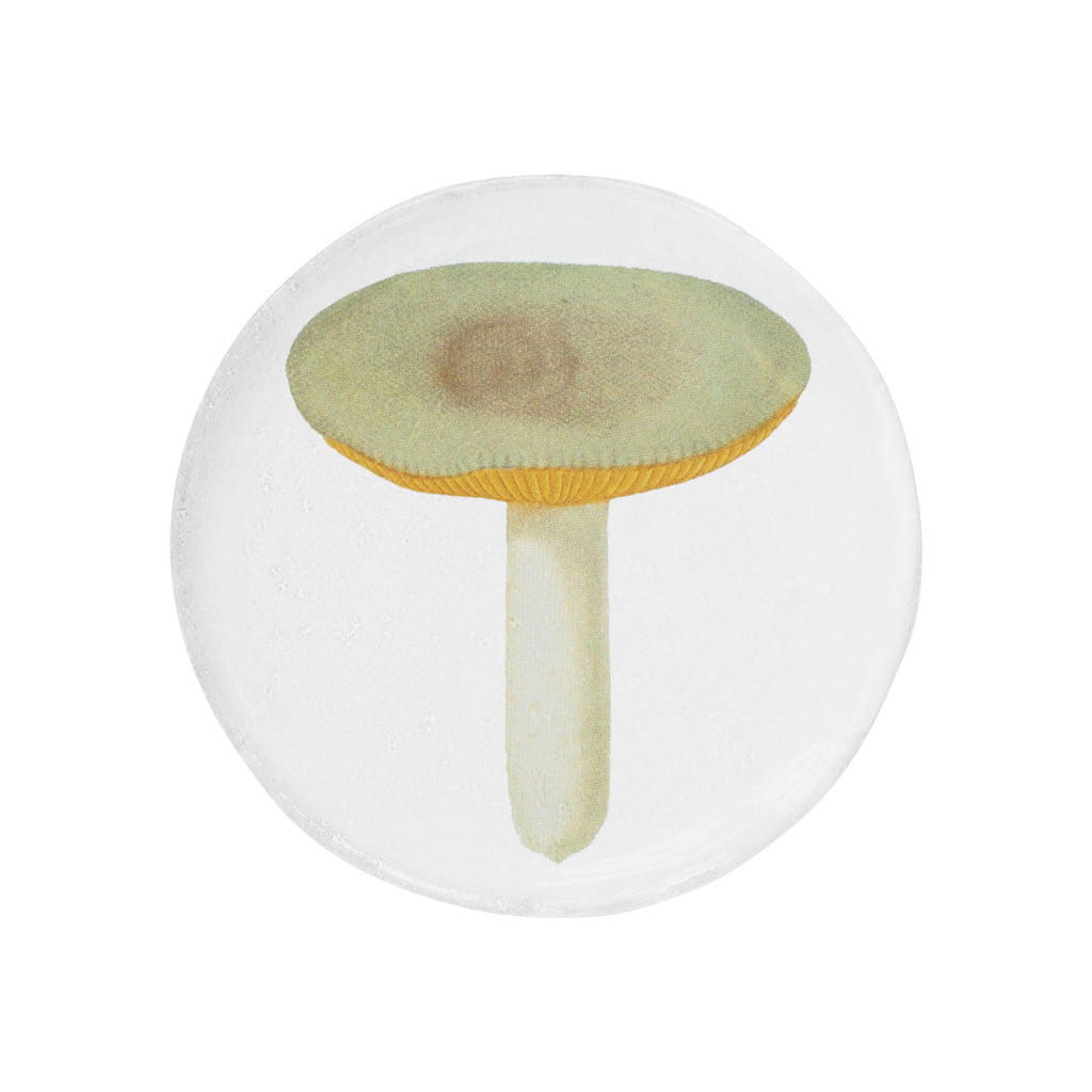 John Derian Agaric Sapid スモールプレート 11.5cm
