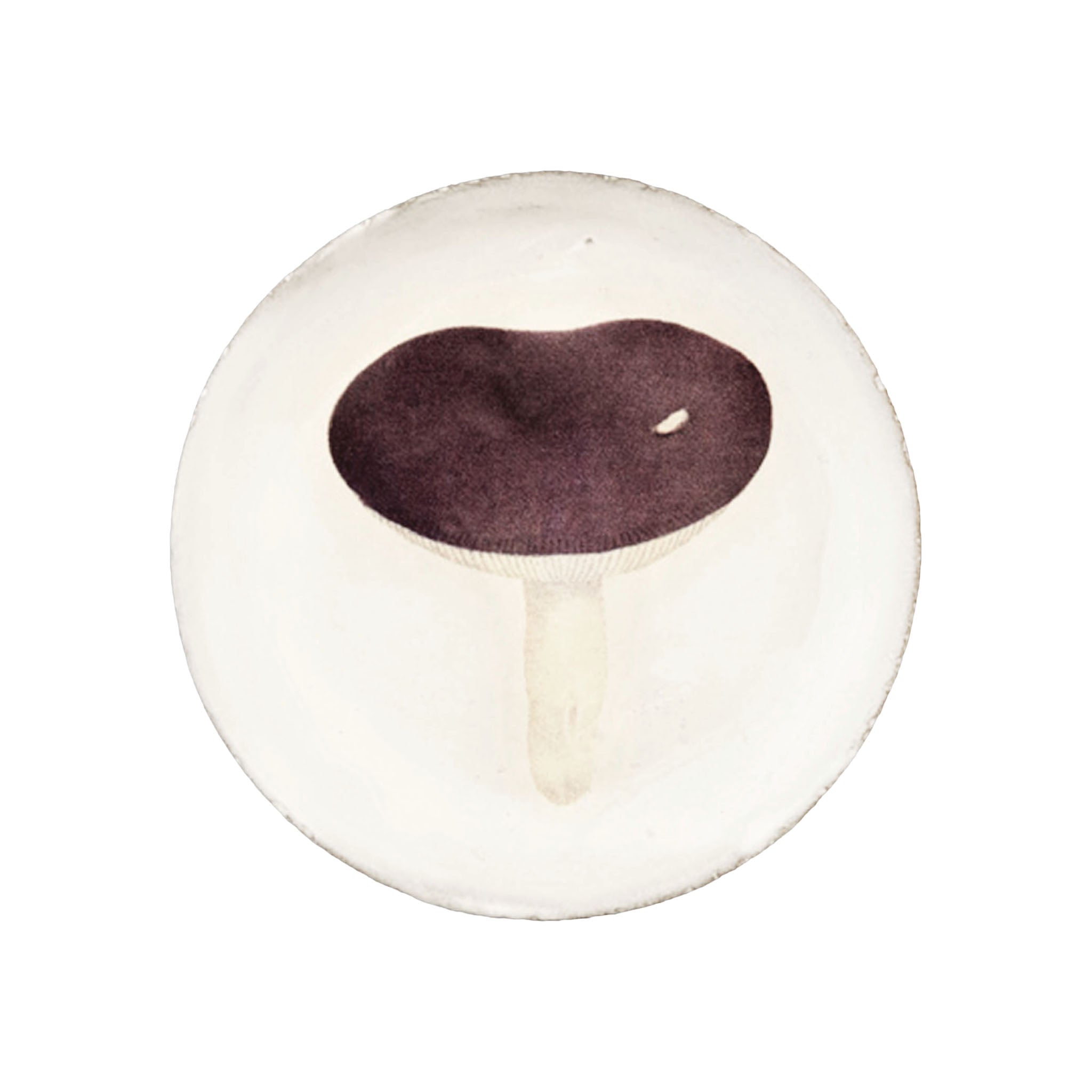 John Derian Agaric Emetique スモールプレート 11.5cm
