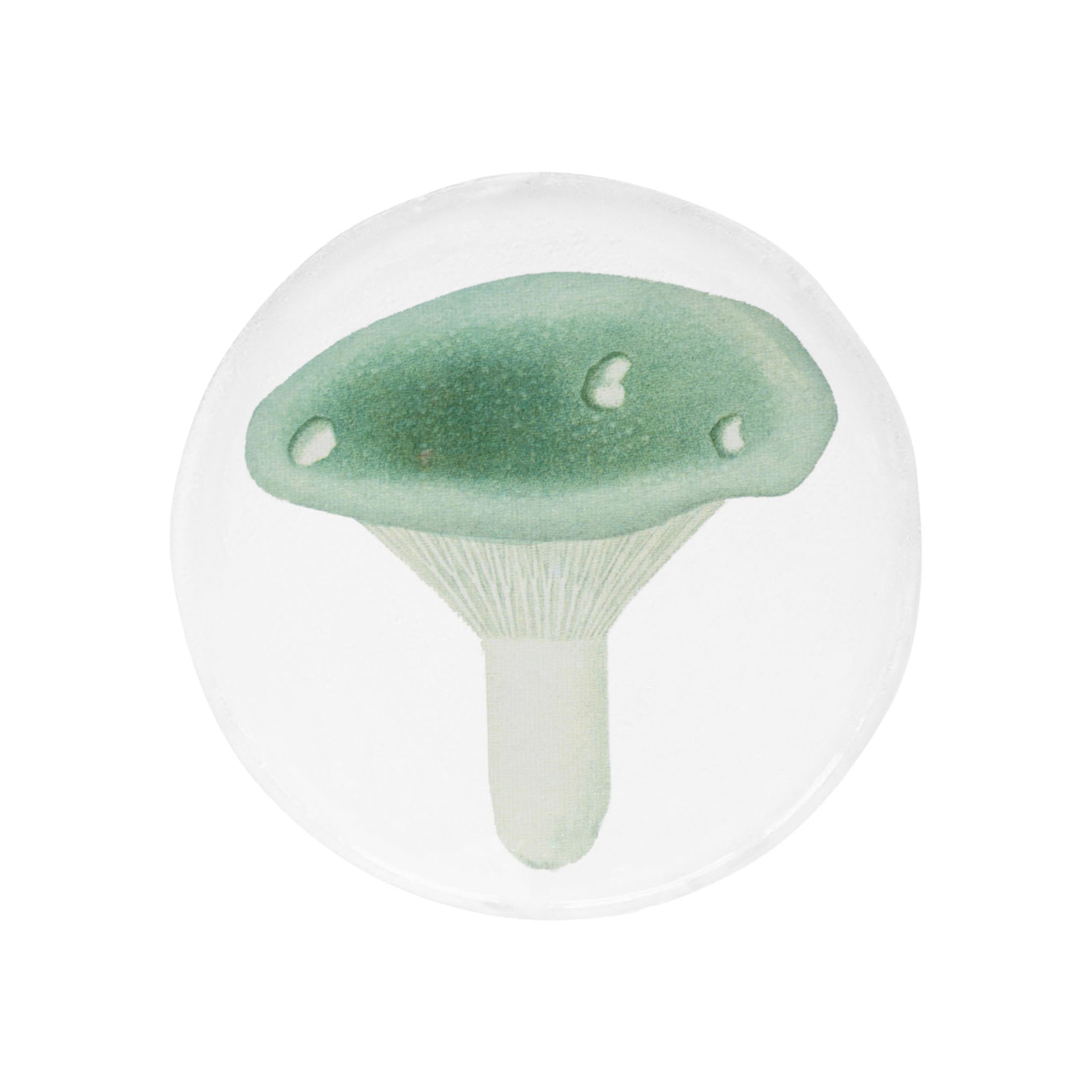 John Derian Agaric Fourchu スモールプレート 11.5cm