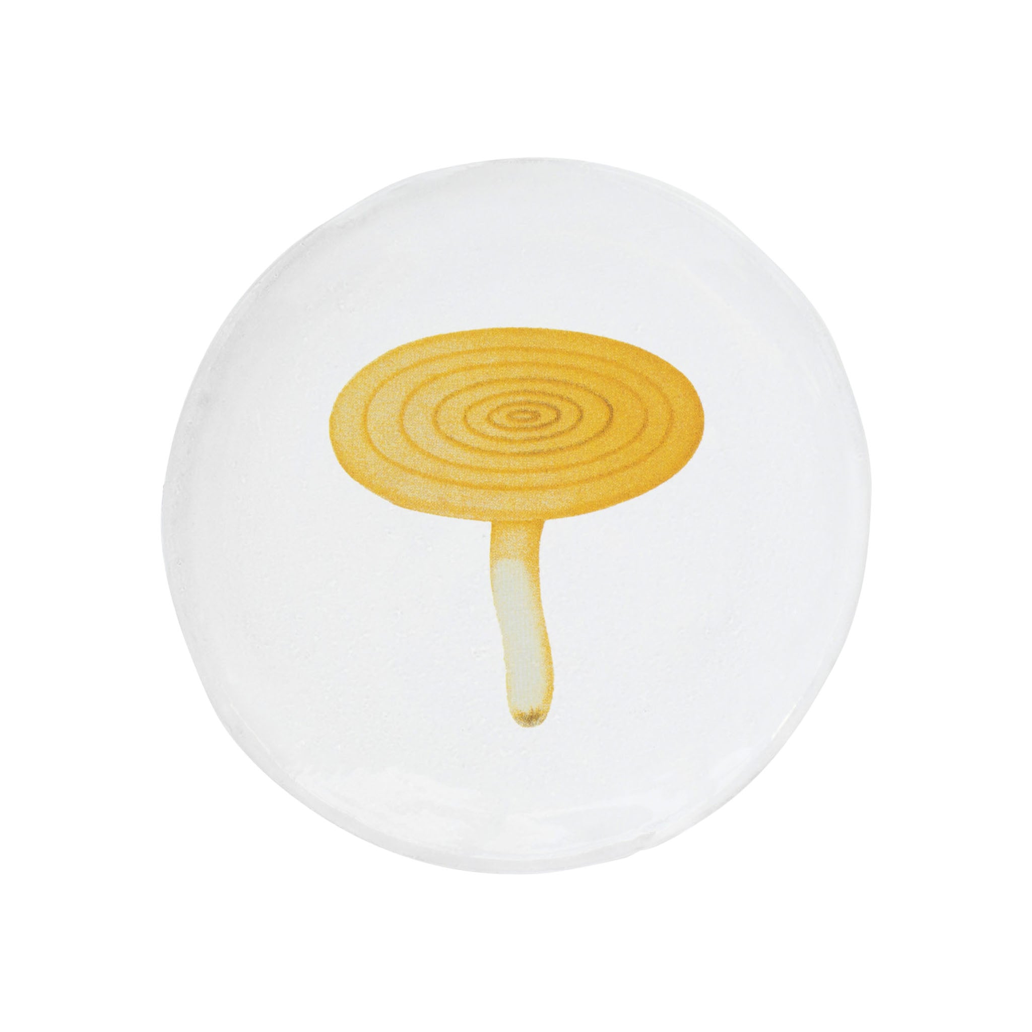 John Derian Agaric Caustique スモールプレート 11.5cm
