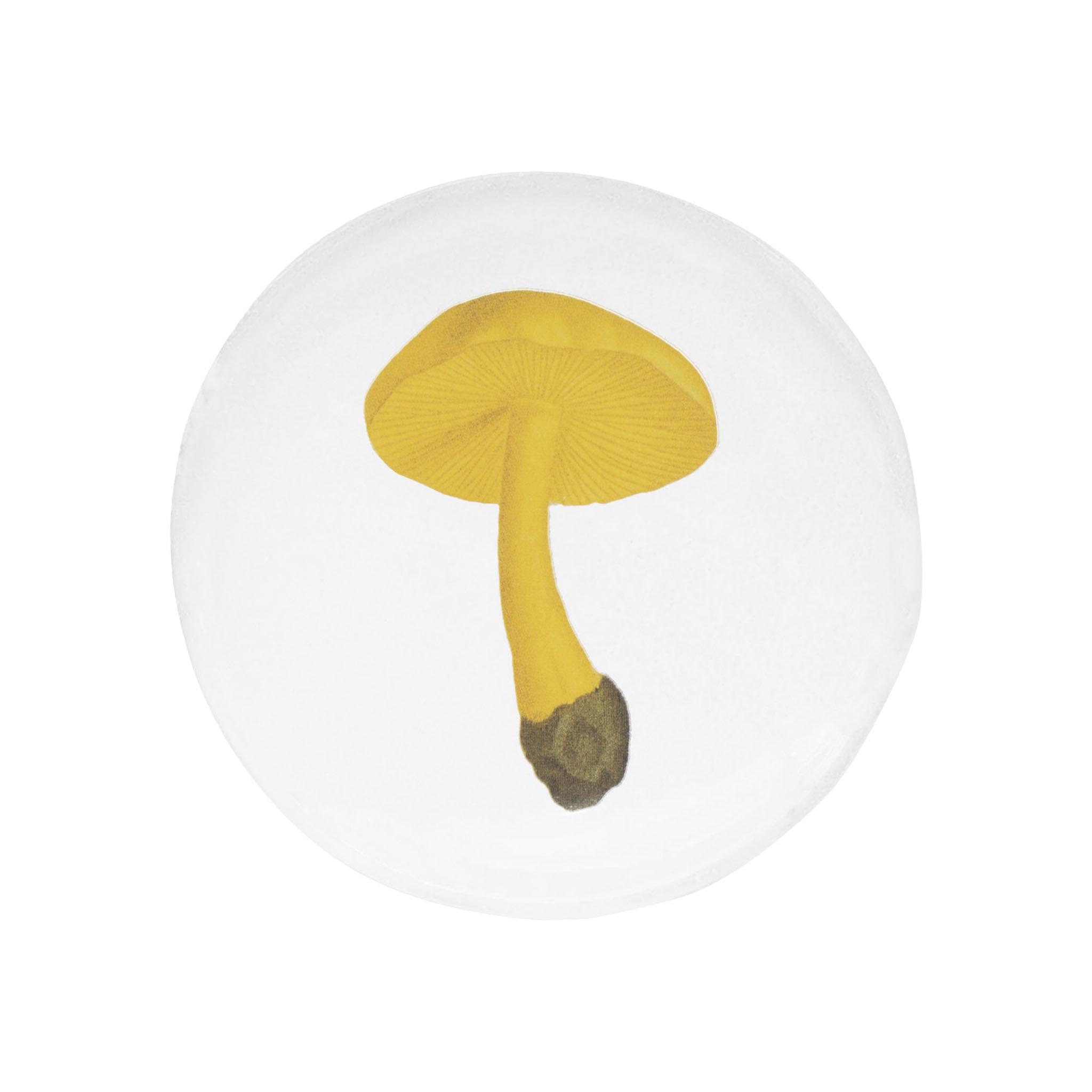 John Derian Agaric Couleur de Souffre スモールプレート 11.5cm