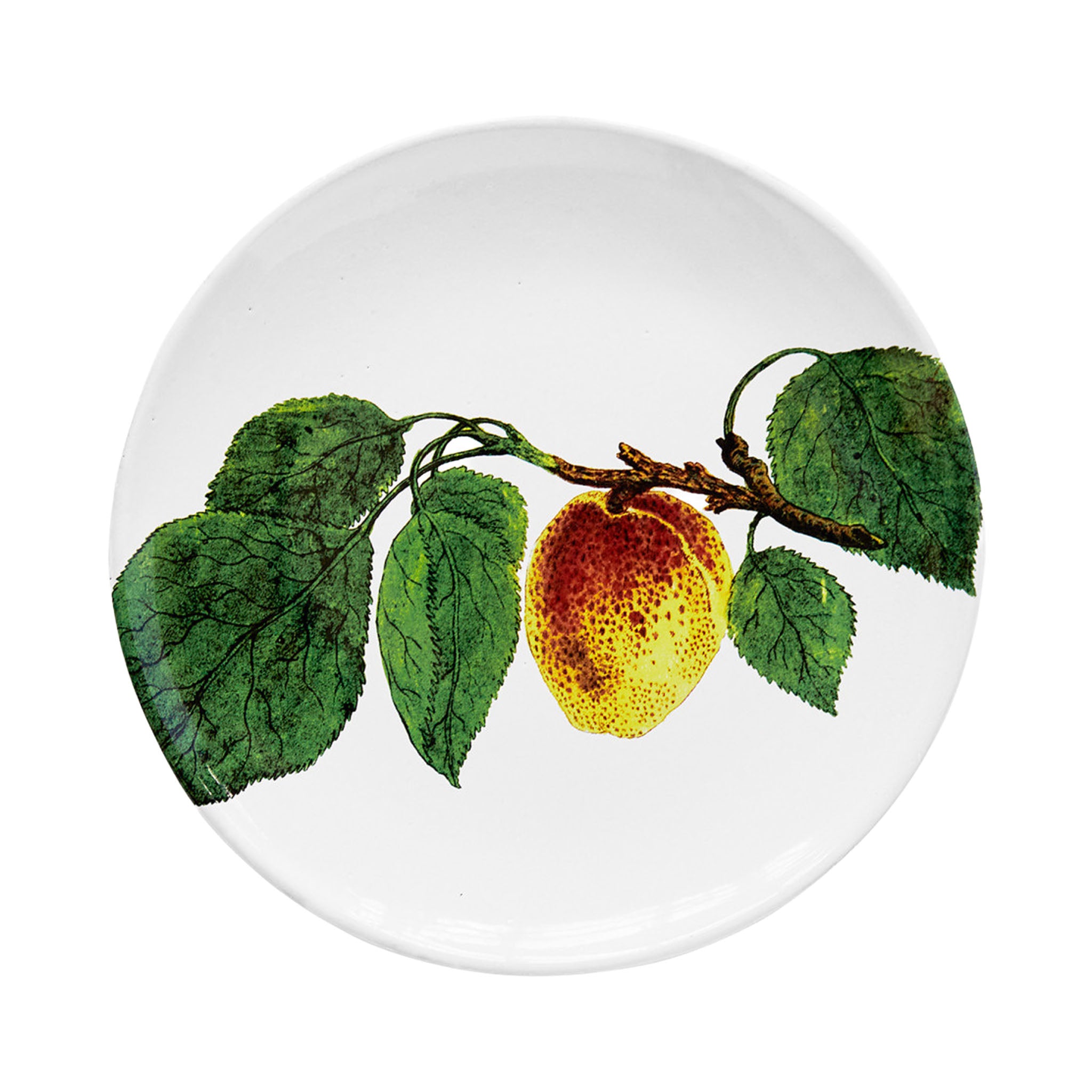 John Derian Spotted Plum ミディアムプレート 20.5cm