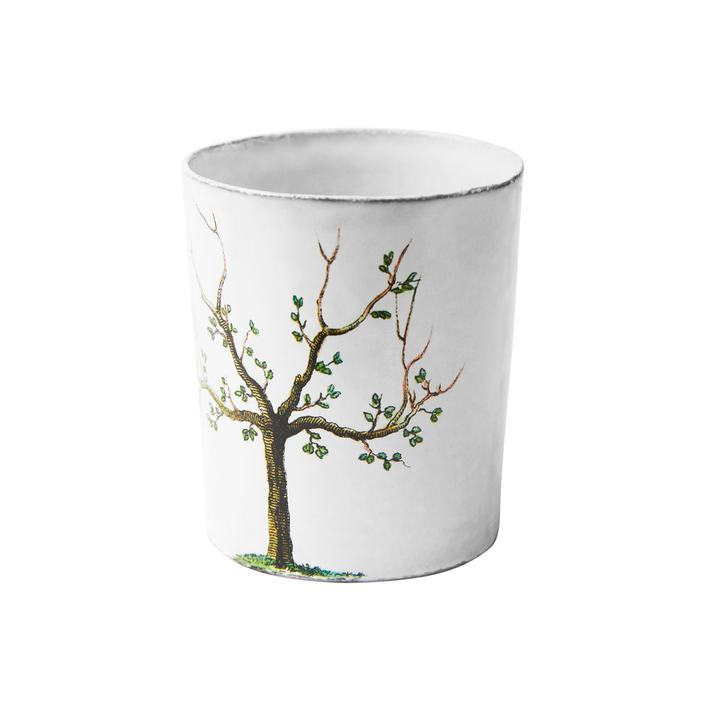 John Derian Pear Tree V カップ