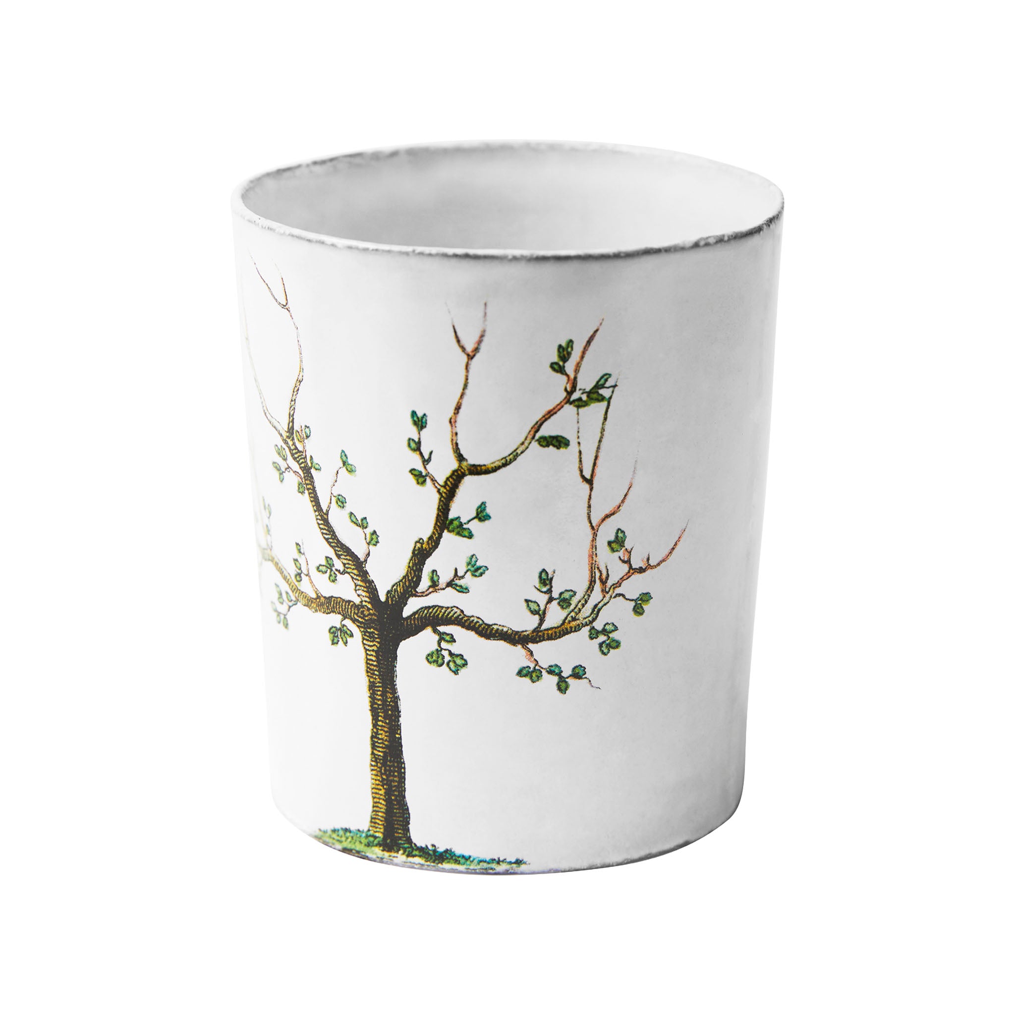 John Derian Pear Tree V カップ