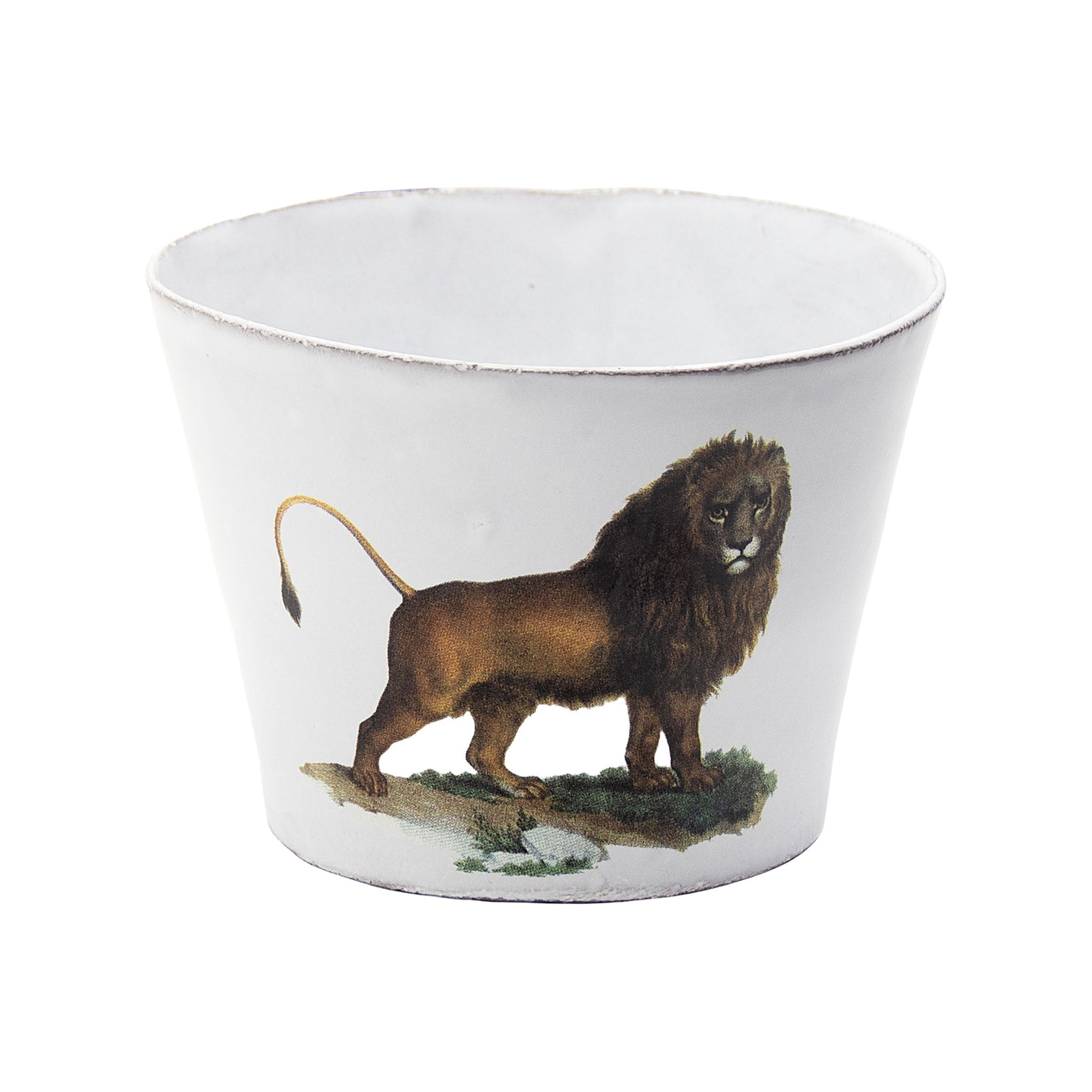 John Derian Leo Barbus ラージカップ