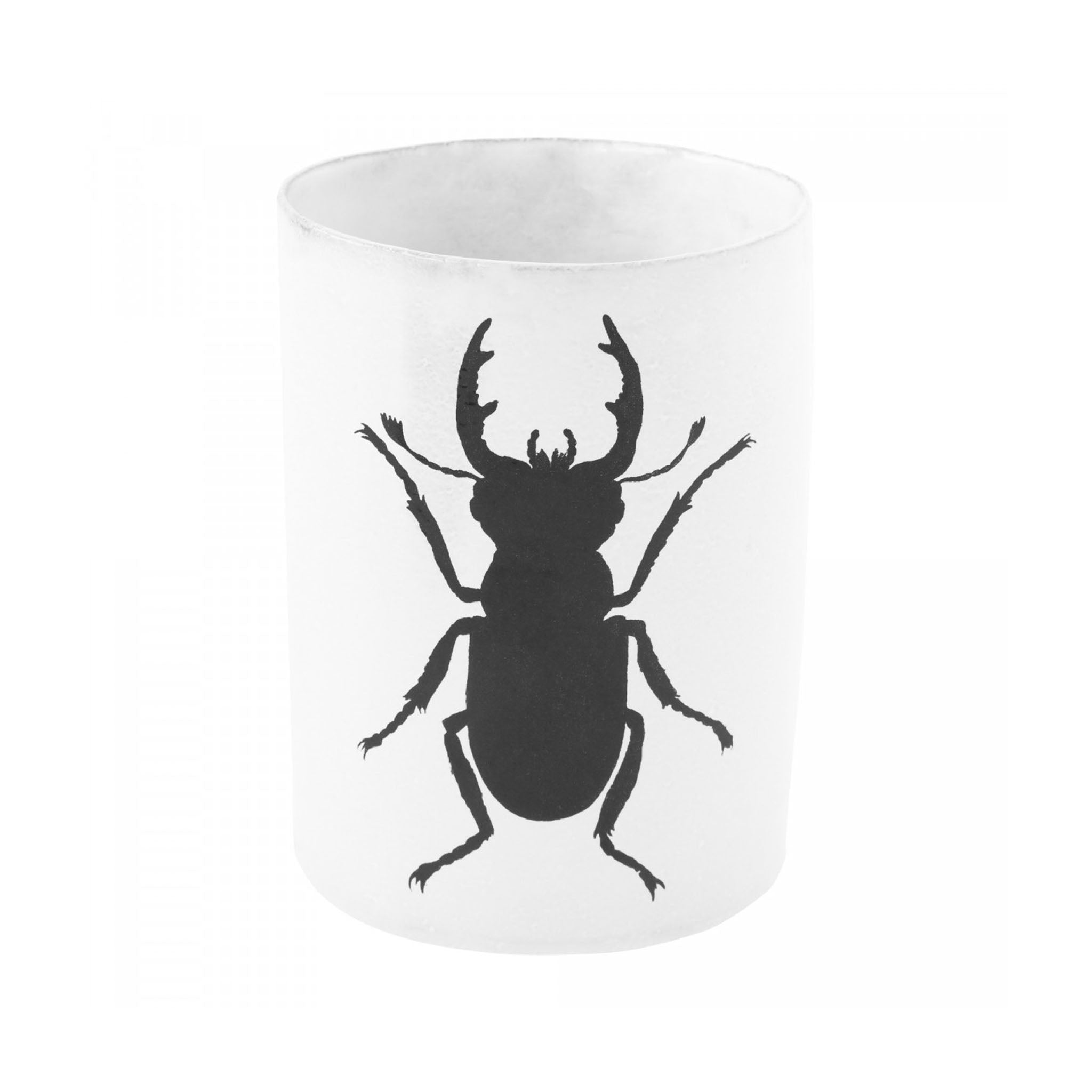John Derian Beetle ベース