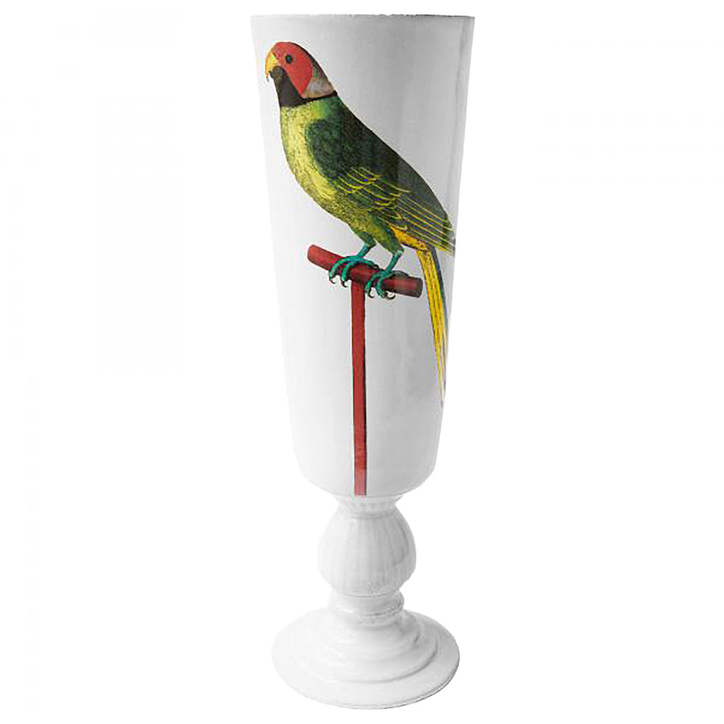 John Derian Albin Fridatutah Bengal Parrot ベース
