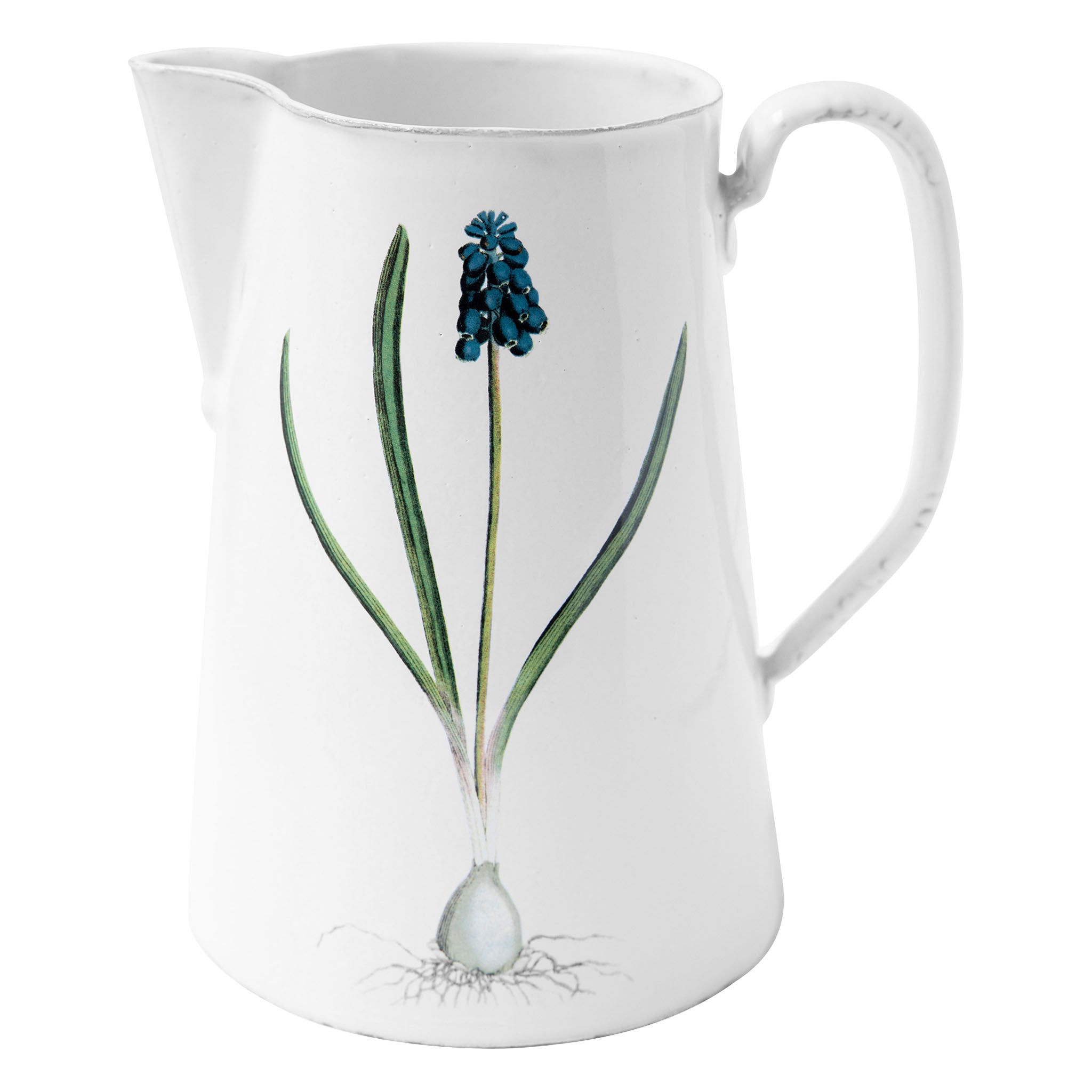 John Derian Muscari ピッチャー