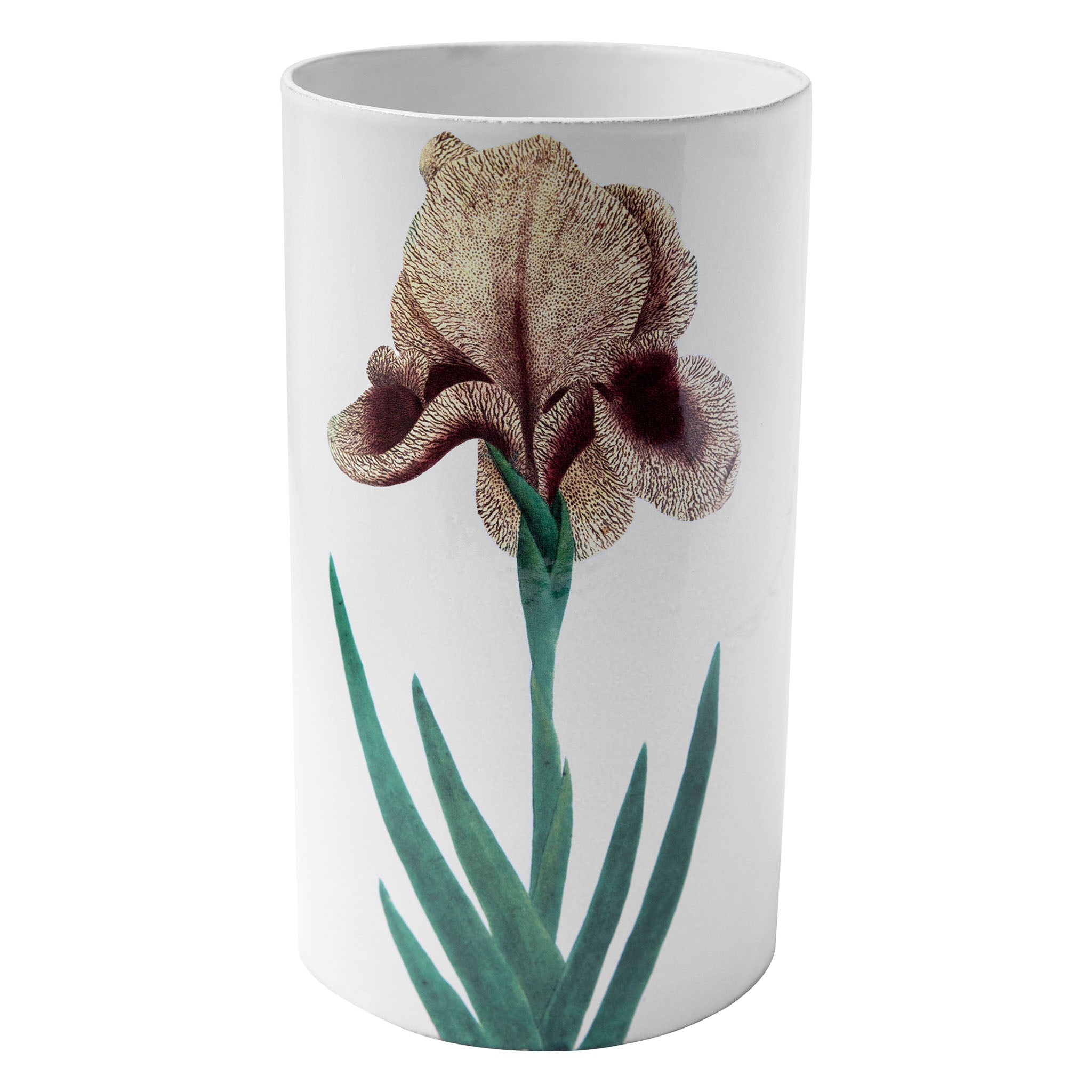 John Derian Yellow Iris ベース