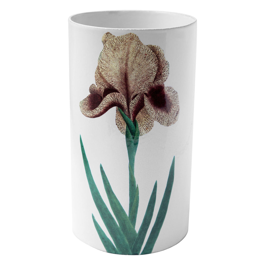 John Derian Yellow Iris ベース