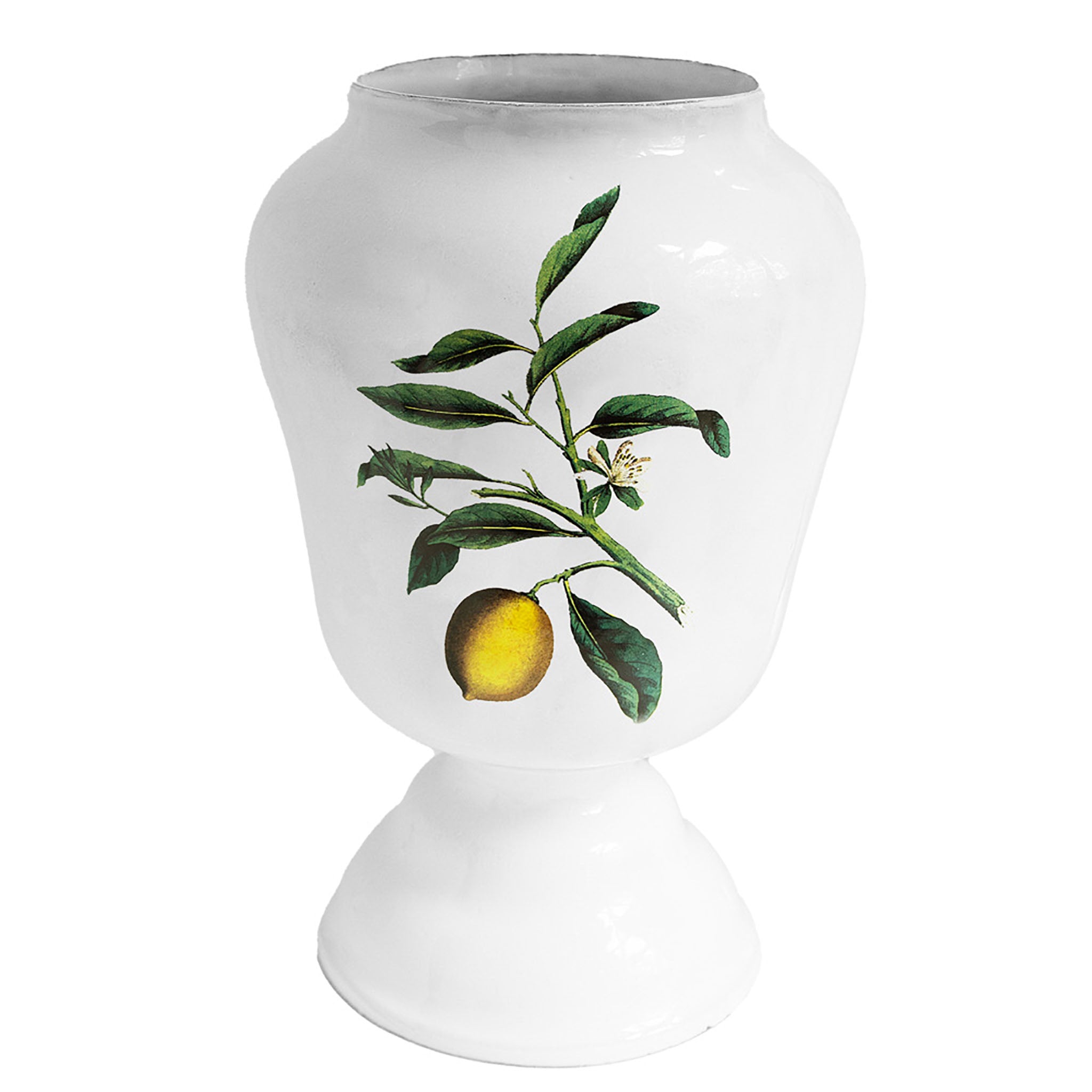John Derian Citron ラージベース