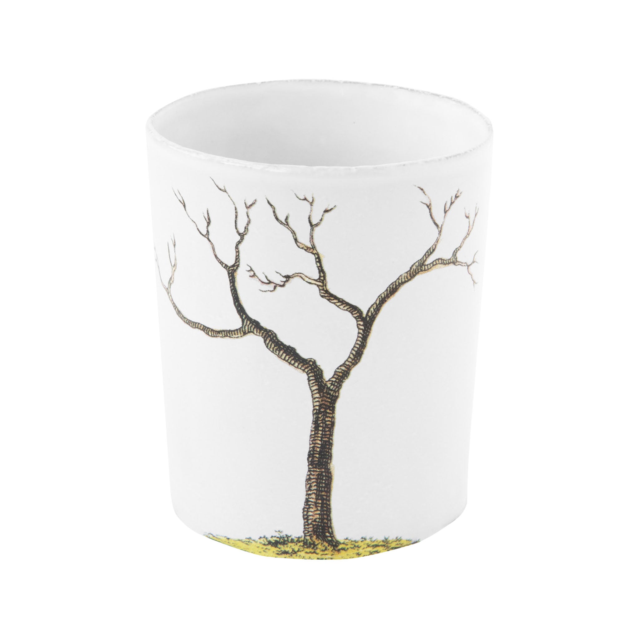 John Derian Pear Tree K カップ