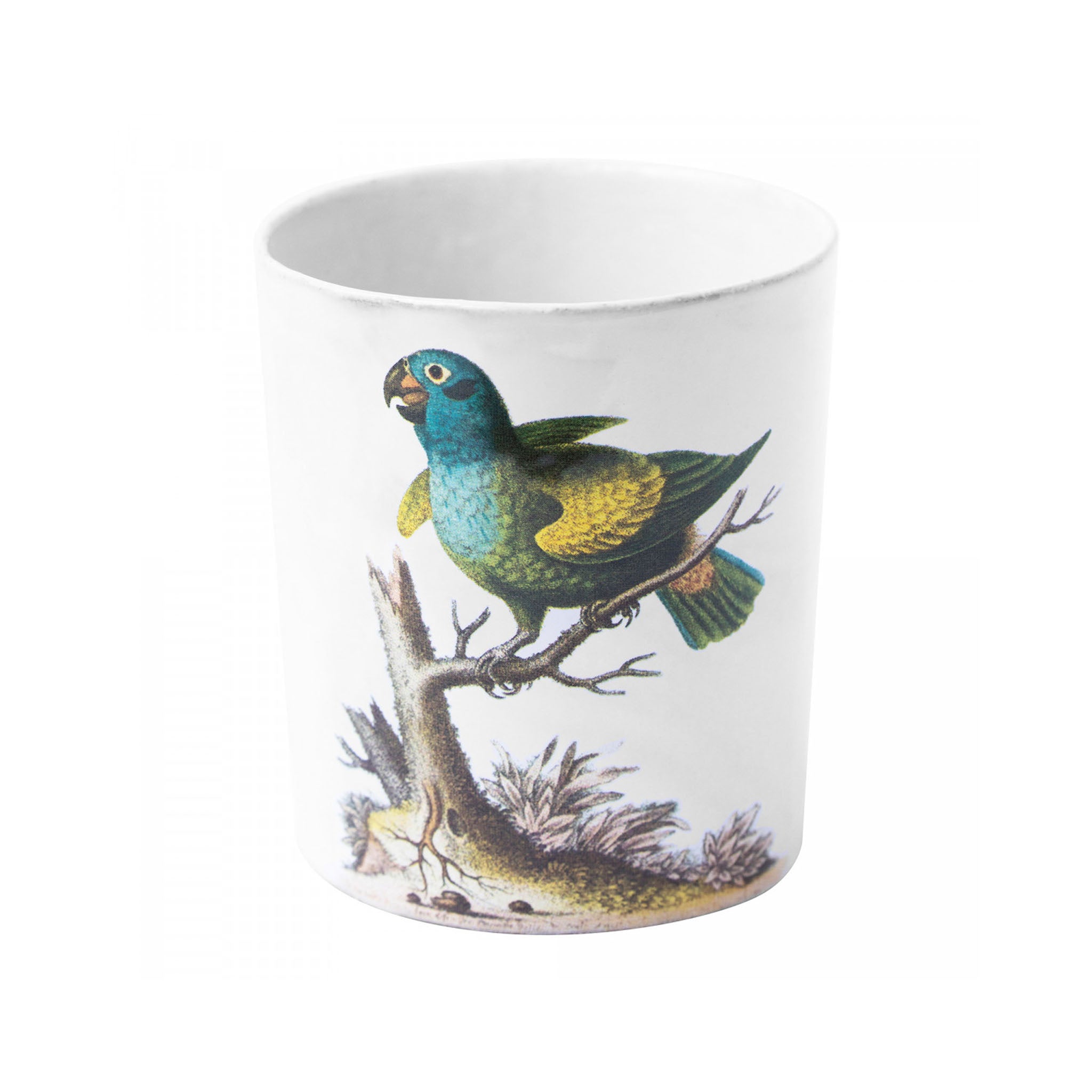 John Derian Parrot タンブラー