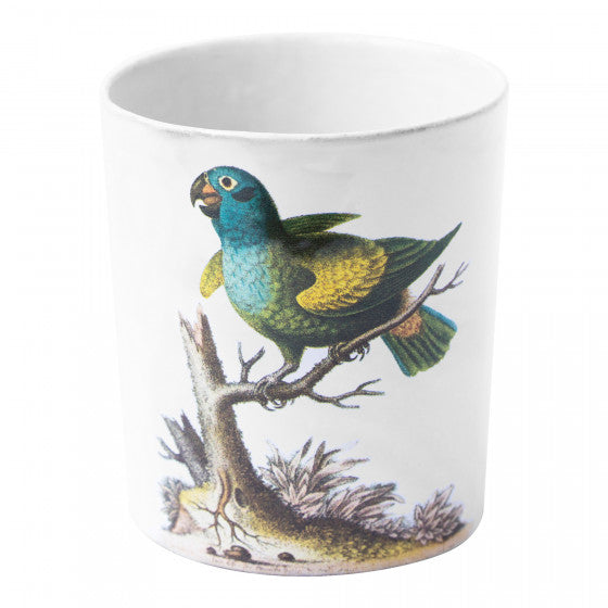 John Derian Parrot カップ